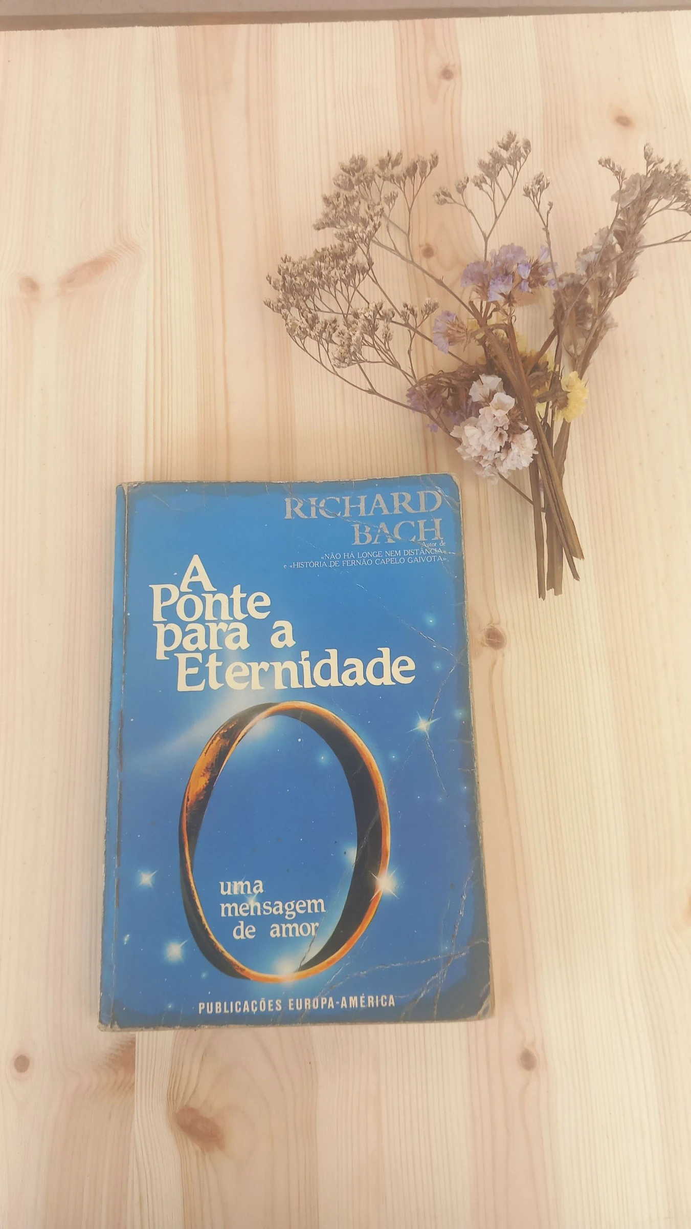 A Ponte para a Eternidade, Richard Bach